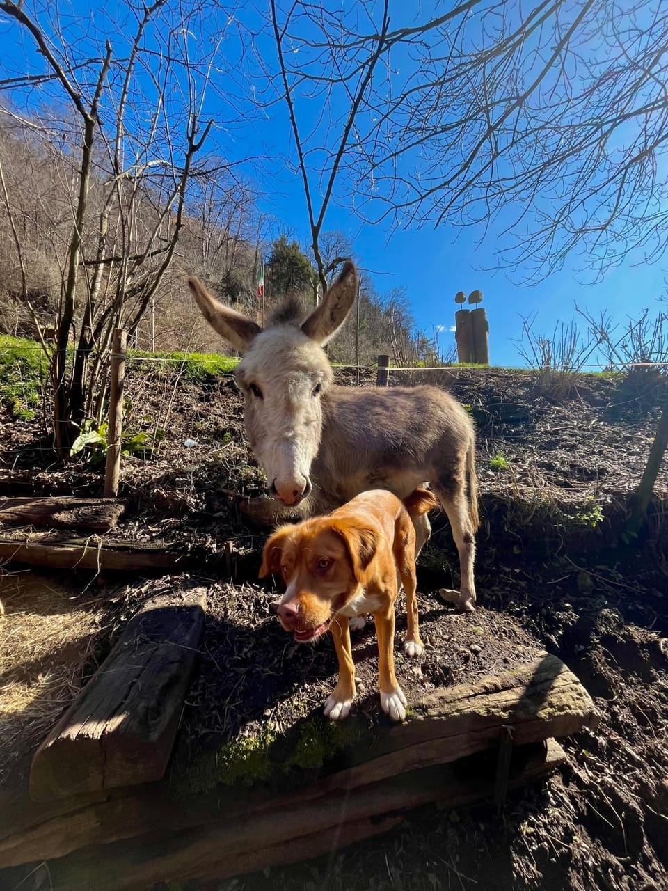 Agriturismo La Vecchia Chioderia Farm Stay in Lombardy