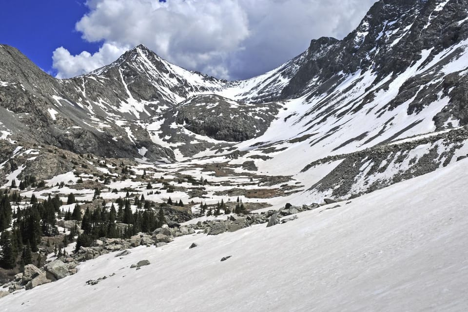 Bellflower Trout House House in Vail