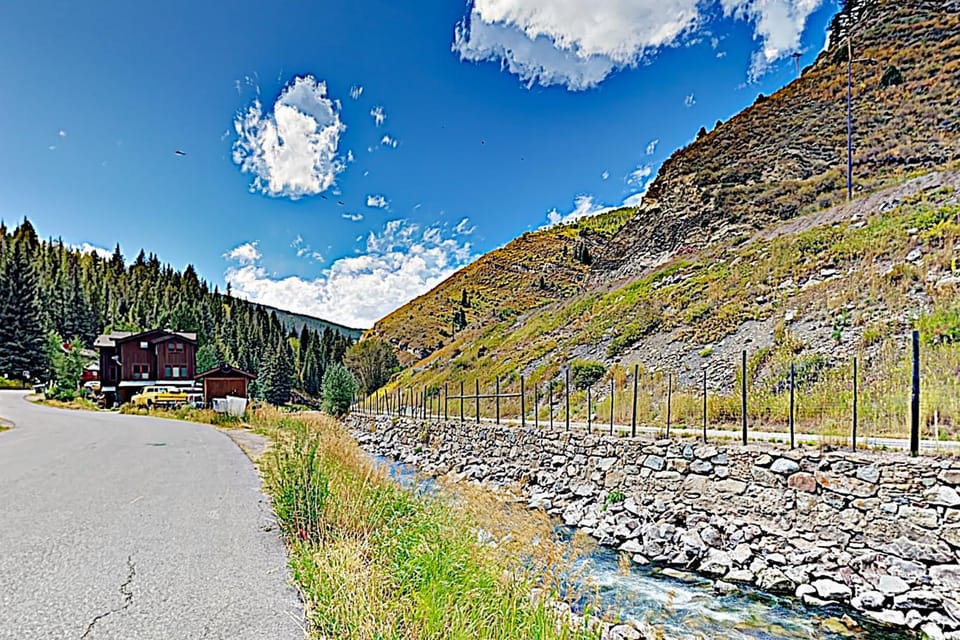 Bellflower Trout House House in Vail