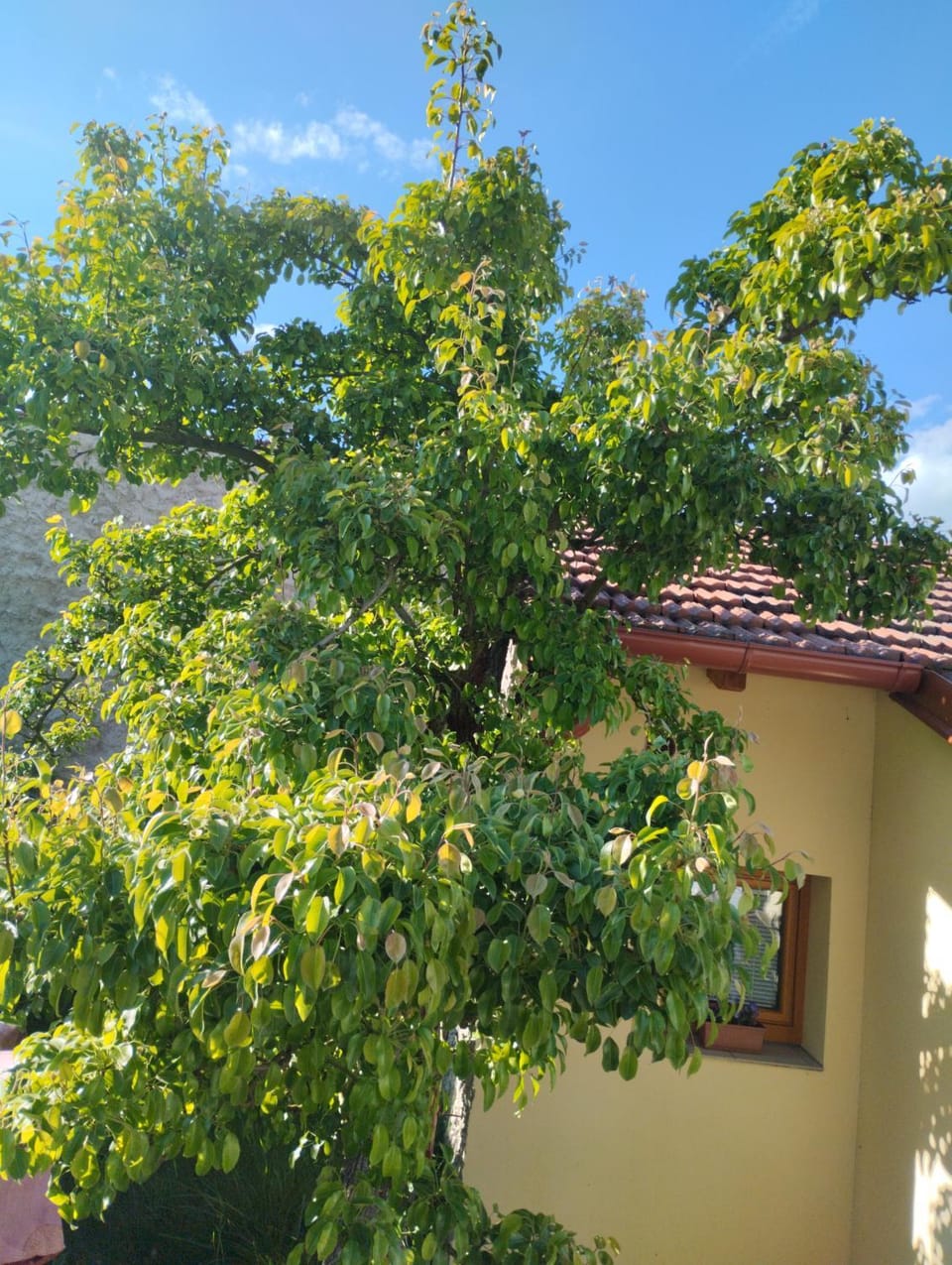 Malé útulné studio s koupelnou a kuchyňkou Apartment in Czechia