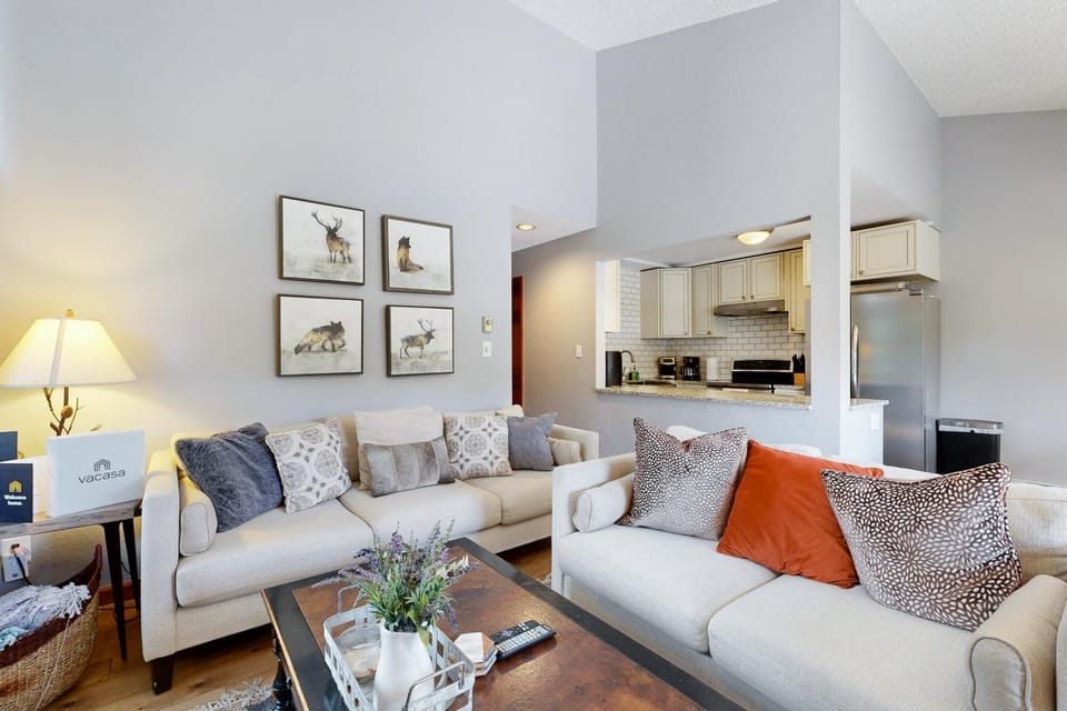 Lakeview Townhome Unit A5 House in Avon