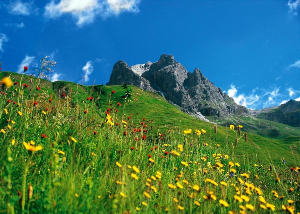 Natural landscape