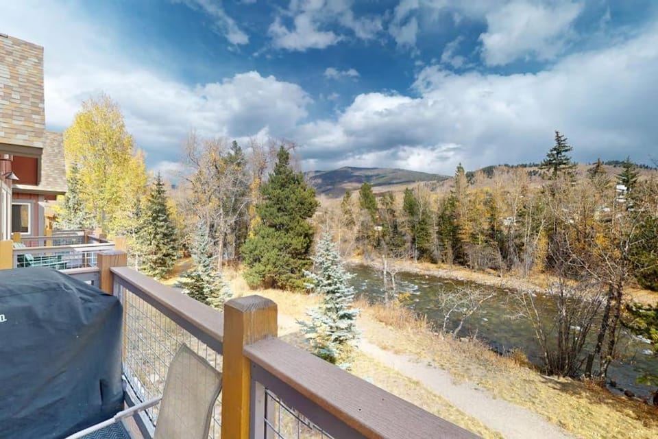 Blue River Condo Unit 203 Apartment in Silverthorne