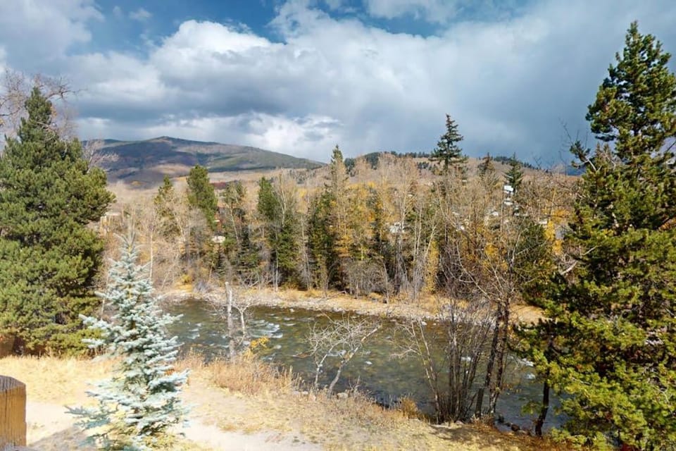 Blue River Condo Unit 203 Apartment in Silverthorne