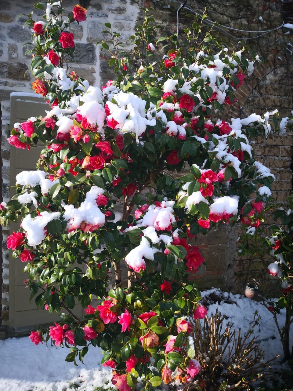 Ca' delle Sore House in Arezzo