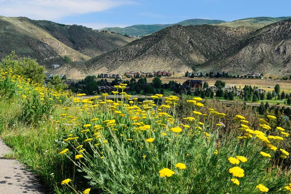 Avon Golf Getaway House in Eagle County