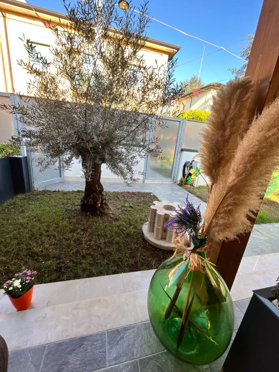 Garden view