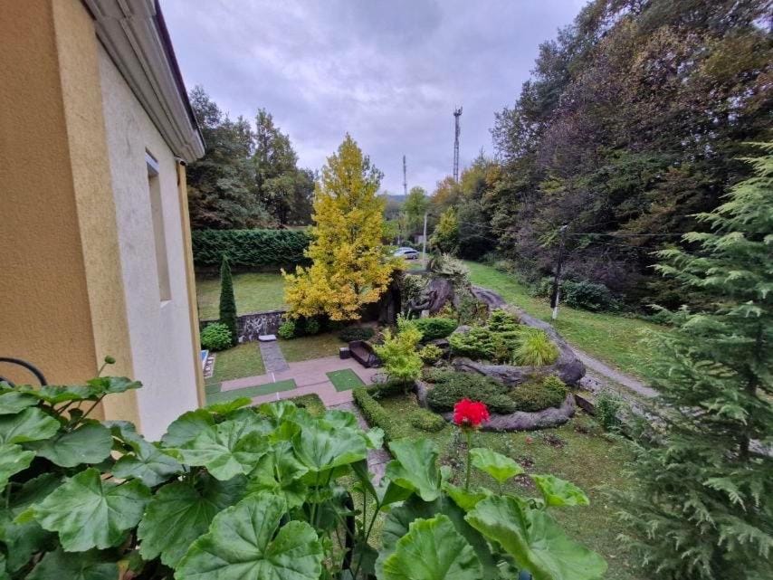 Вогняна Саламандра Apartment in Ukraine
