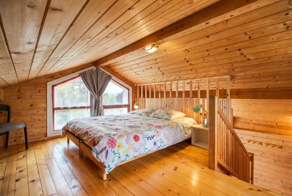 Bed, Night, Photo of the whole room, cot