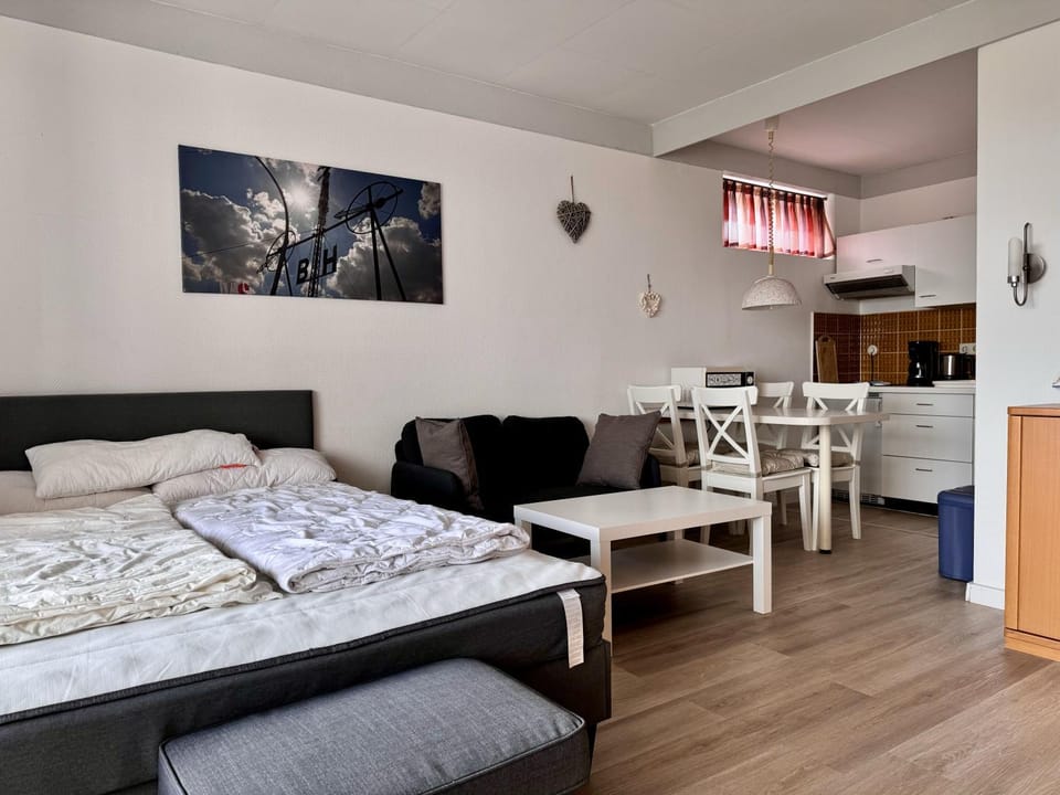 Bed, Kitchen or kitchenette, Living room, Seating area, Dining area