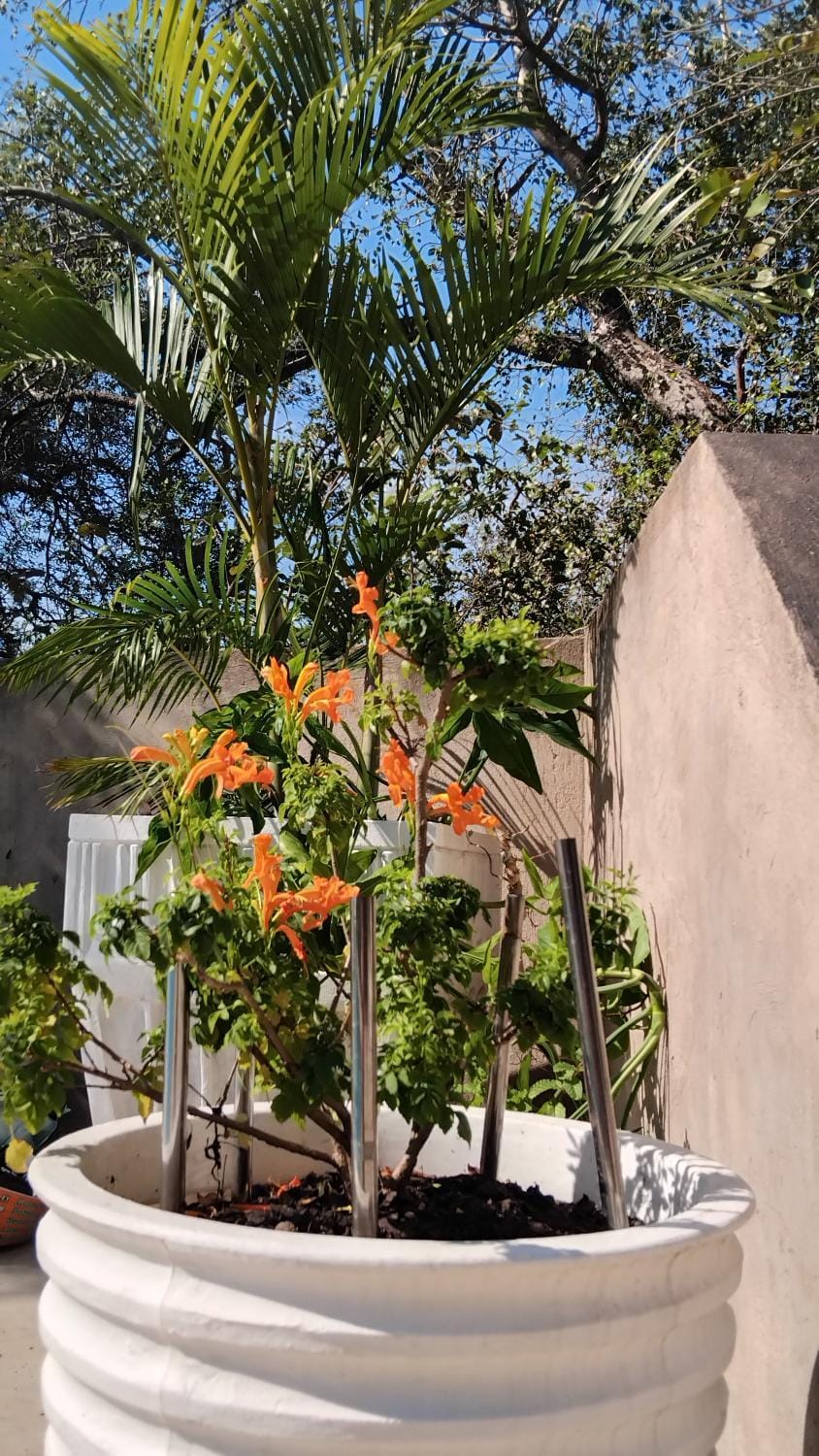 Marloth Park, Kruger safari house - solar House in South Africa