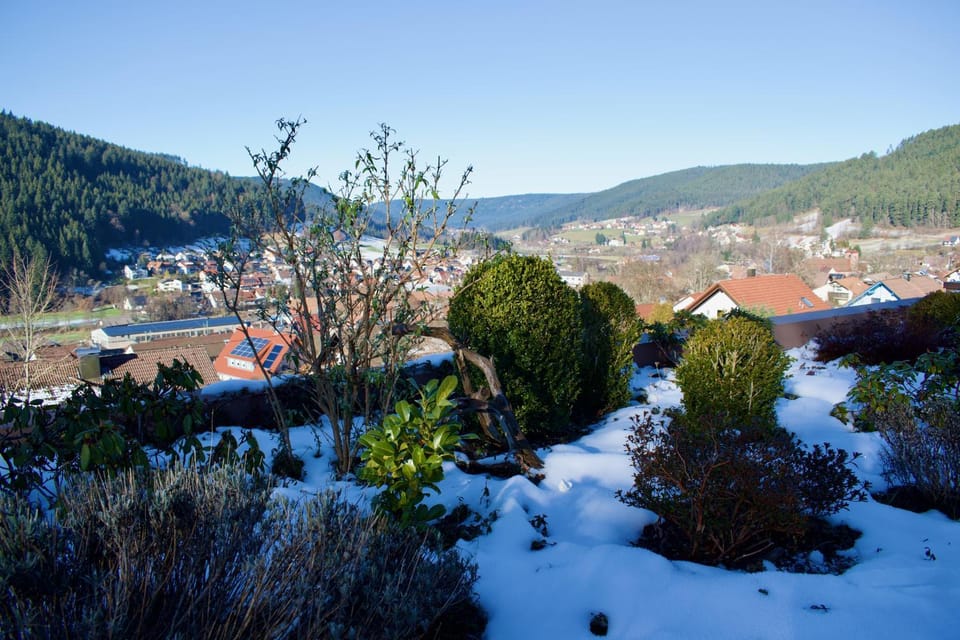 View (from property/room)