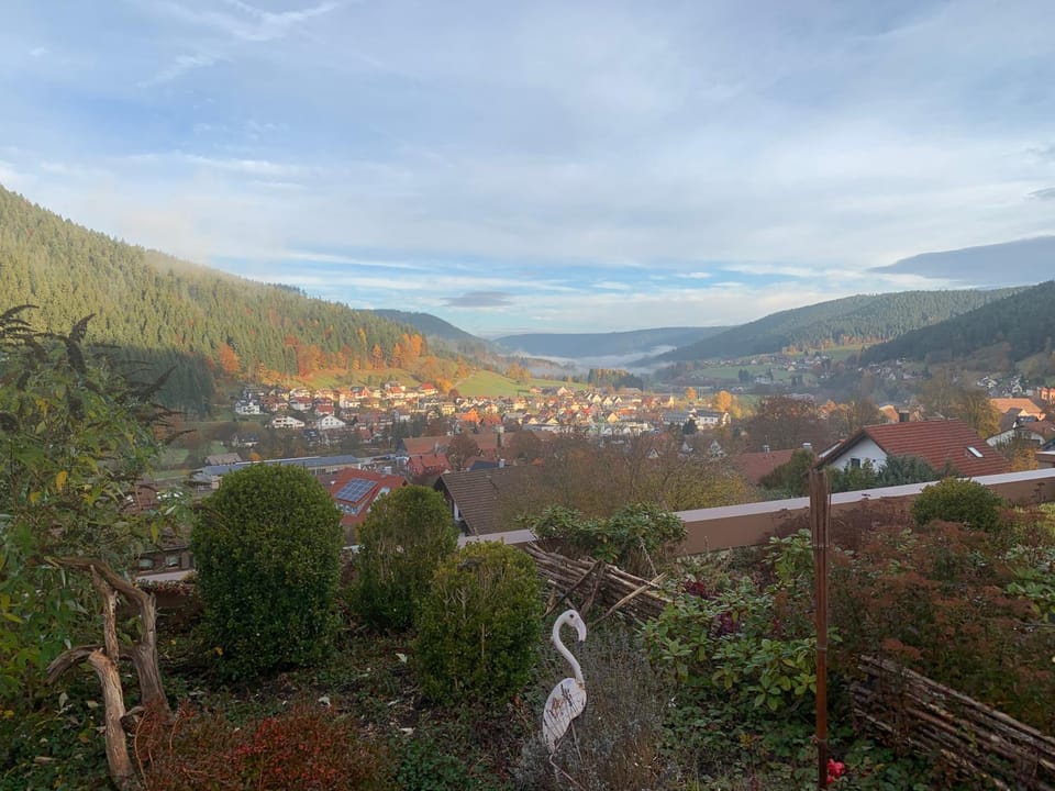 View (from property/room)