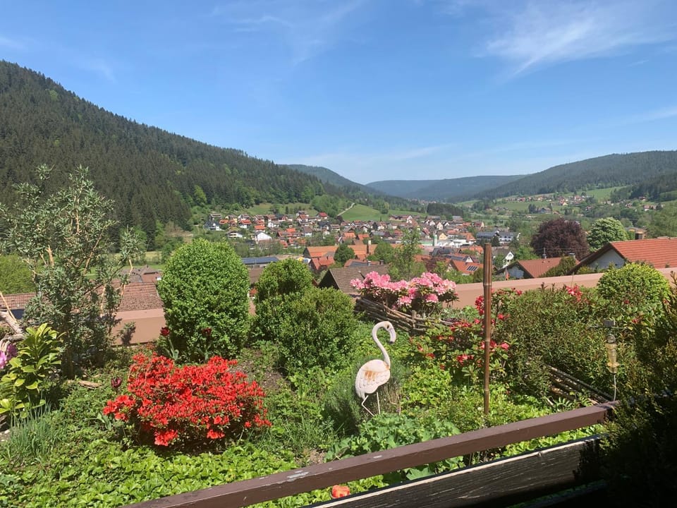 Balcony/Terrace, Mountain view