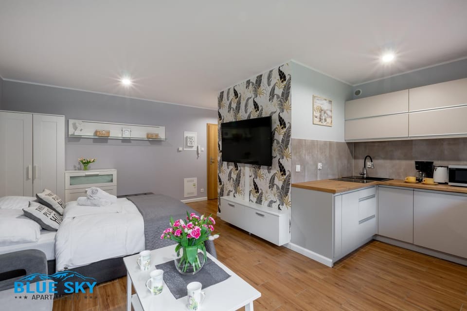Bed, TV and multimedia, Kitchen or kitchenette, Living room, Photo of the whole room, towels