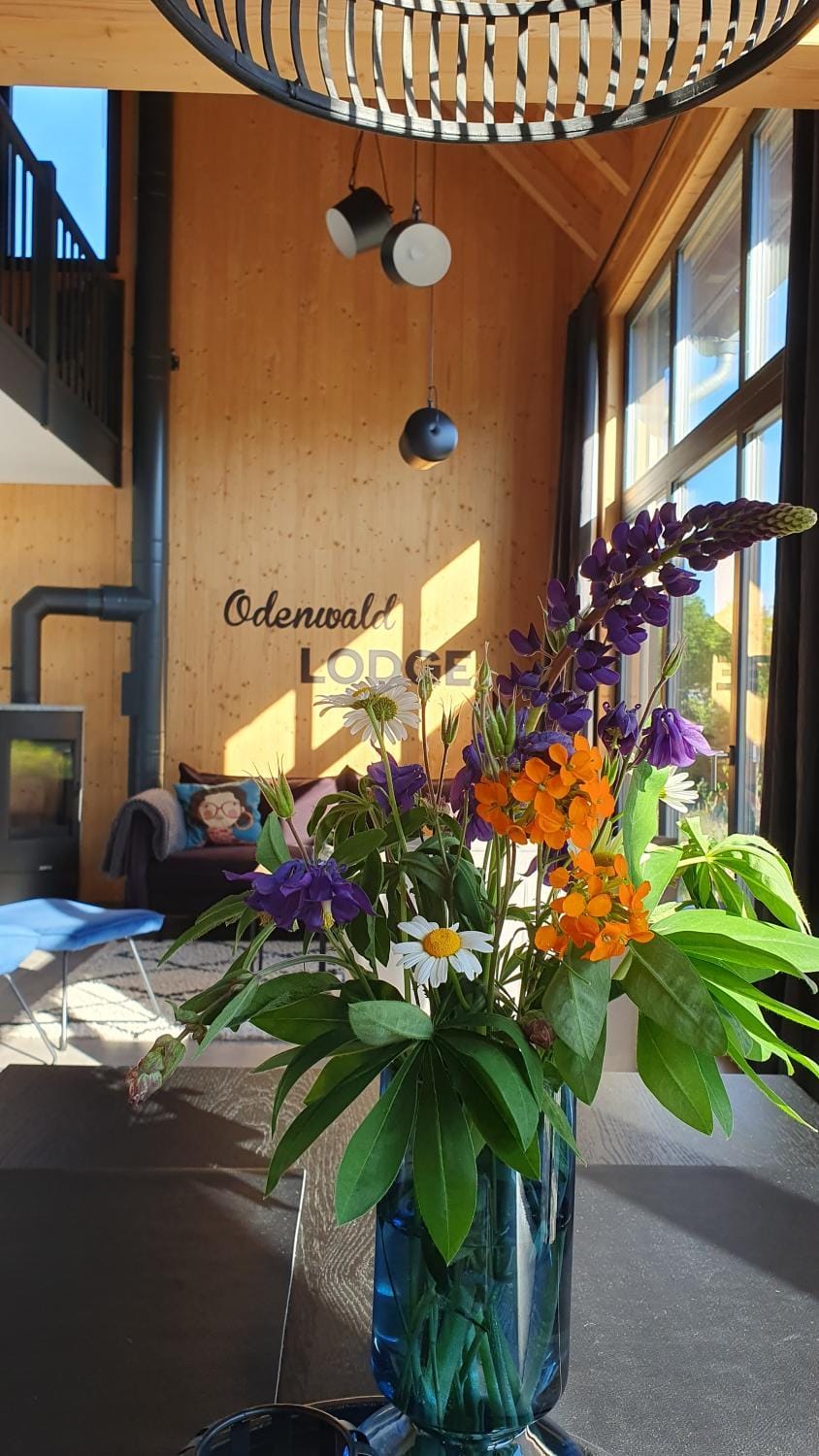 Odenwald-Lodge mit Infrarotsauna und E-Ladestation "Haus Purpur" House in Hesse