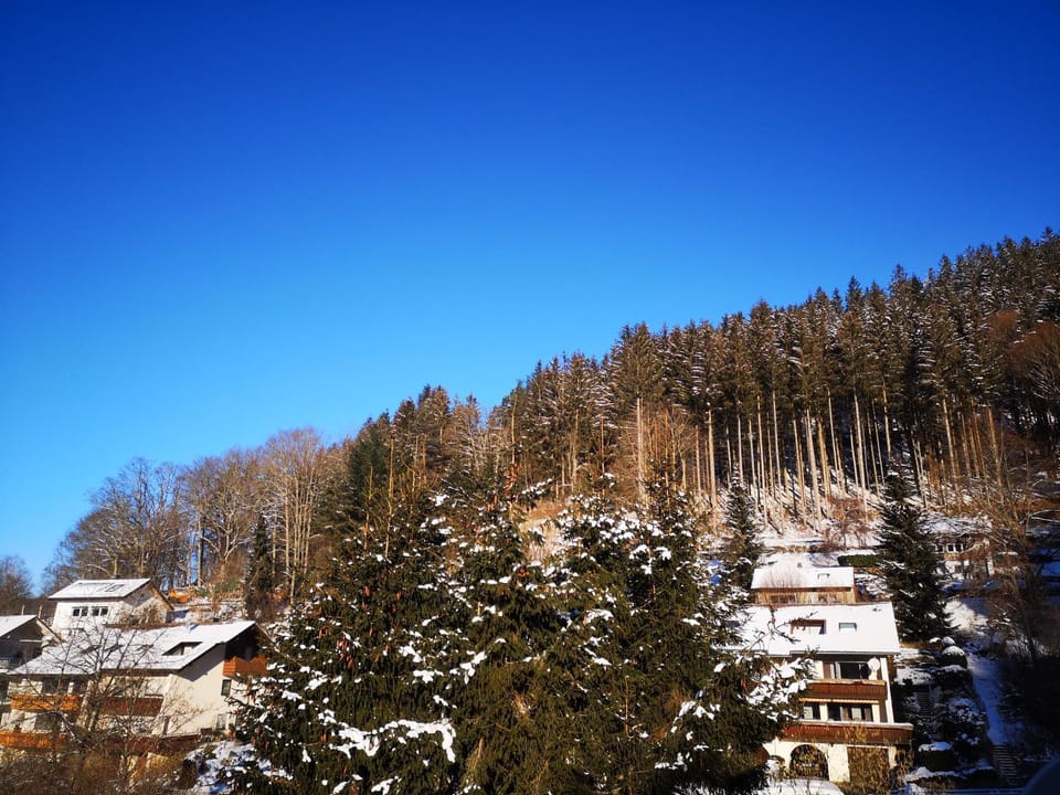 View (from property/room)