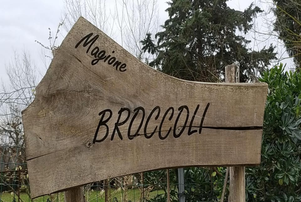 Magione Broccoli Bed and Breakfast in Marche