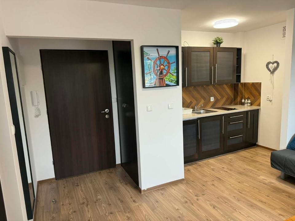 Kitchen or kitchenette, oven