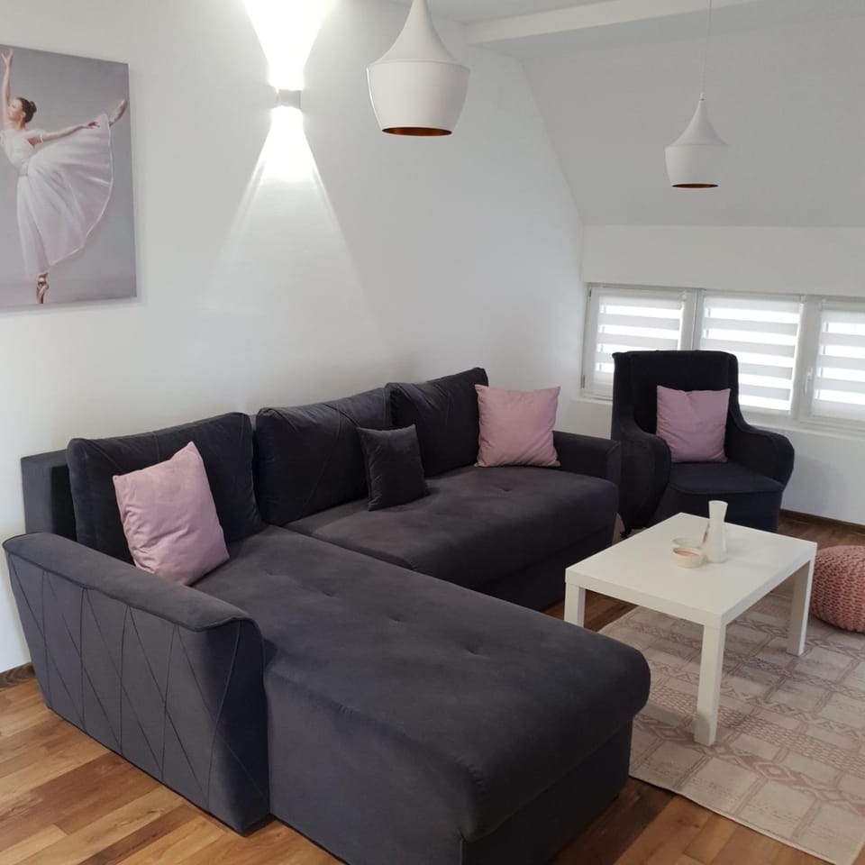 Apartmani Vukmanović Apartment in Zlatibor District, Serbia