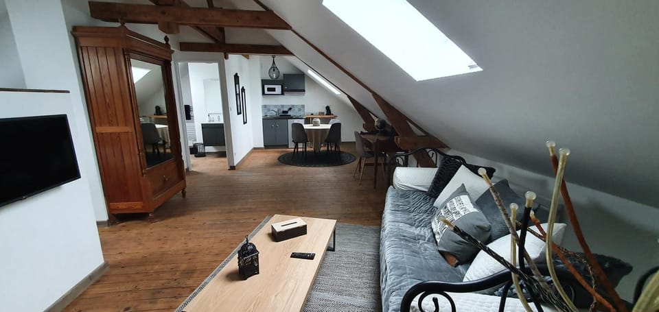 Living room, kitchen