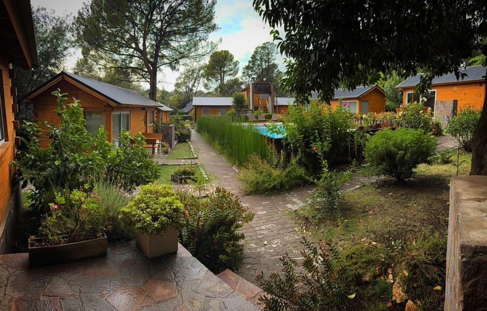 Spring, Day, Garden, Garden view