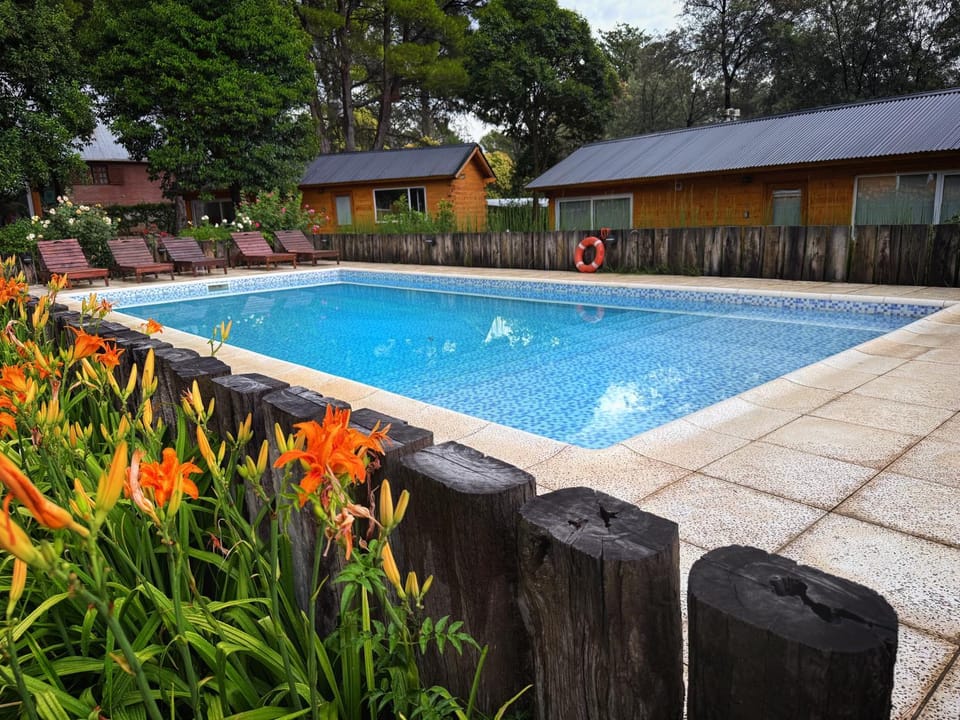 Day, Garden, Garden view, Pool view, Swimming pool