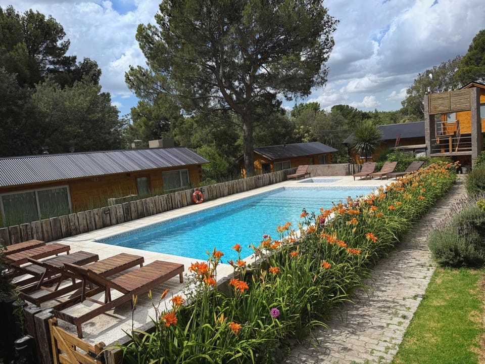 Spring, Garden, Garden view, Pool view