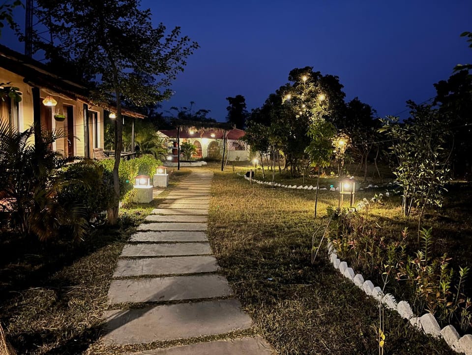 Night, Garden, Garden view