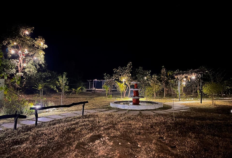 Night, Natural landscape, Garden, Garden view