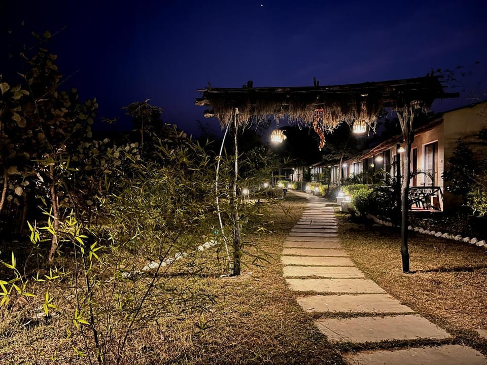 Night, Natural landscape, Garden, Garden view