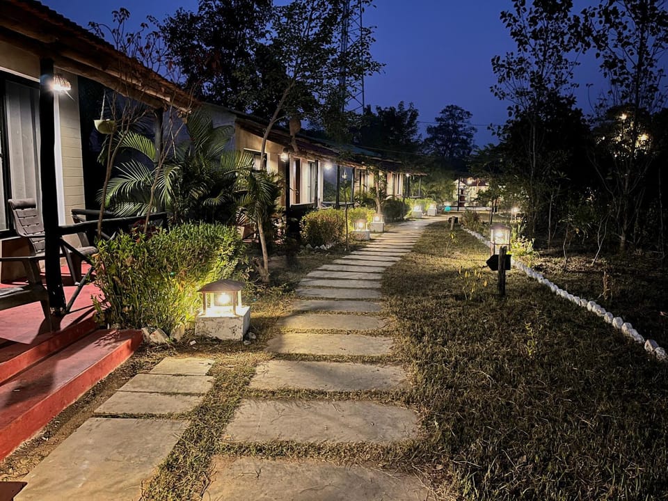 Night, Garden view