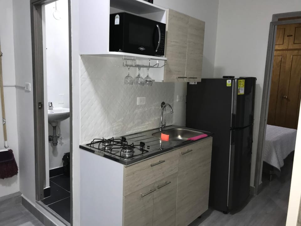 Kitchen or kitchenette, kitchen