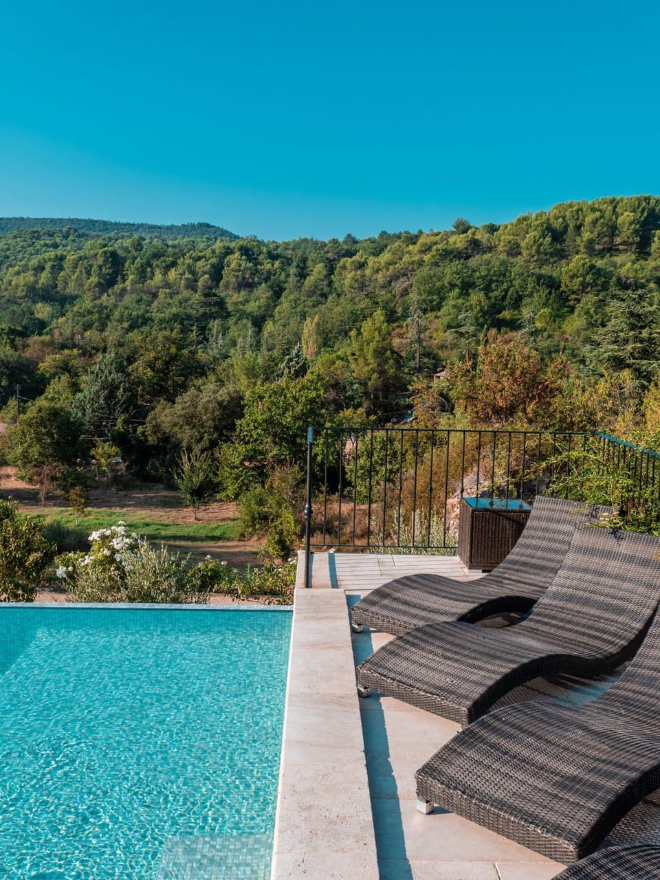 Patio, Garden, Garden view