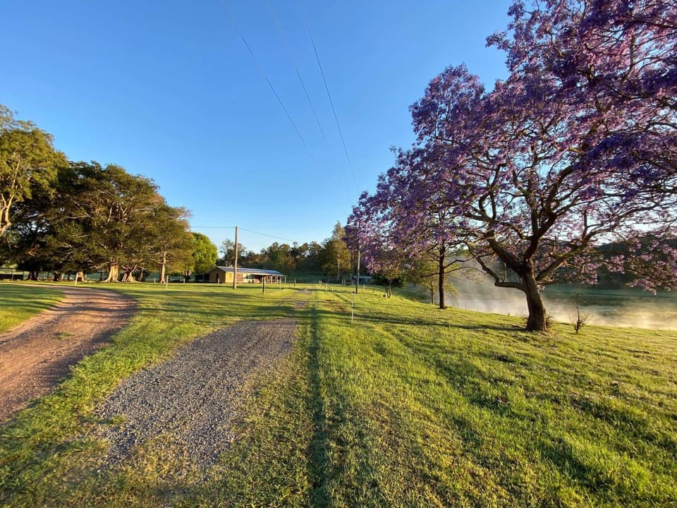 Stay at the Barn... Immerse yourself in nature. House in Kenilworth