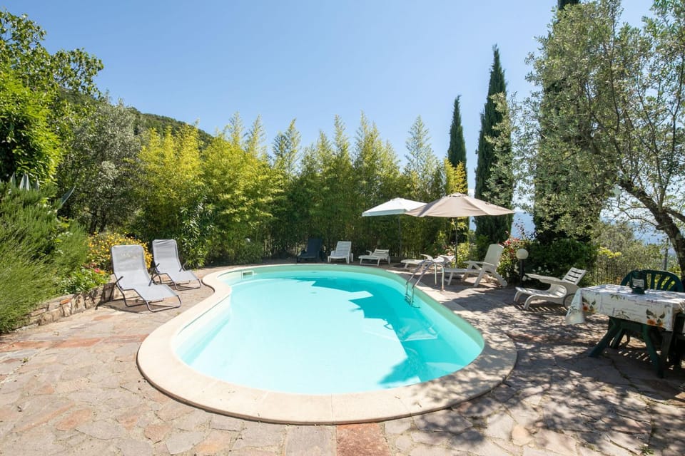 Garden, Swimming pool