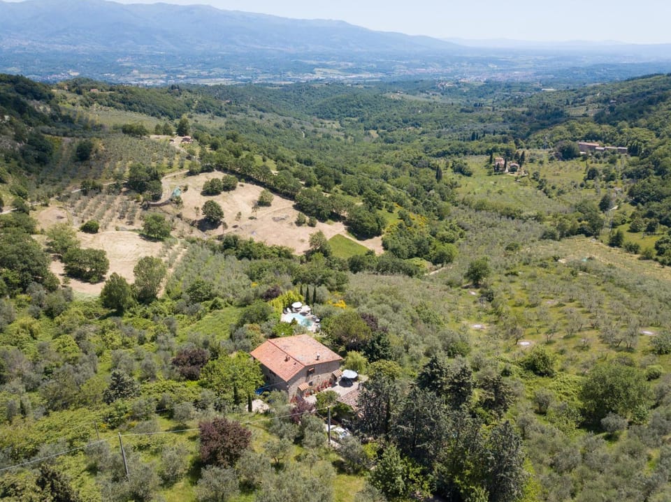Neighbourhood, Natural landscape, Bird's eye view