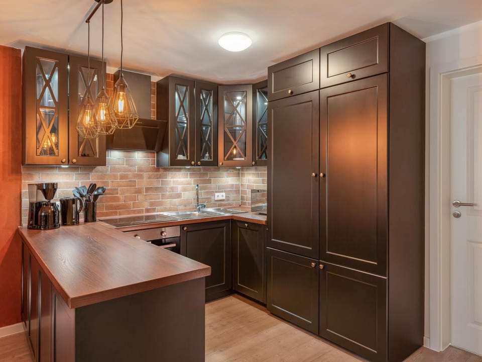 Kitchen or kitchenette, dishwasher, minibar, pet friendly, stove