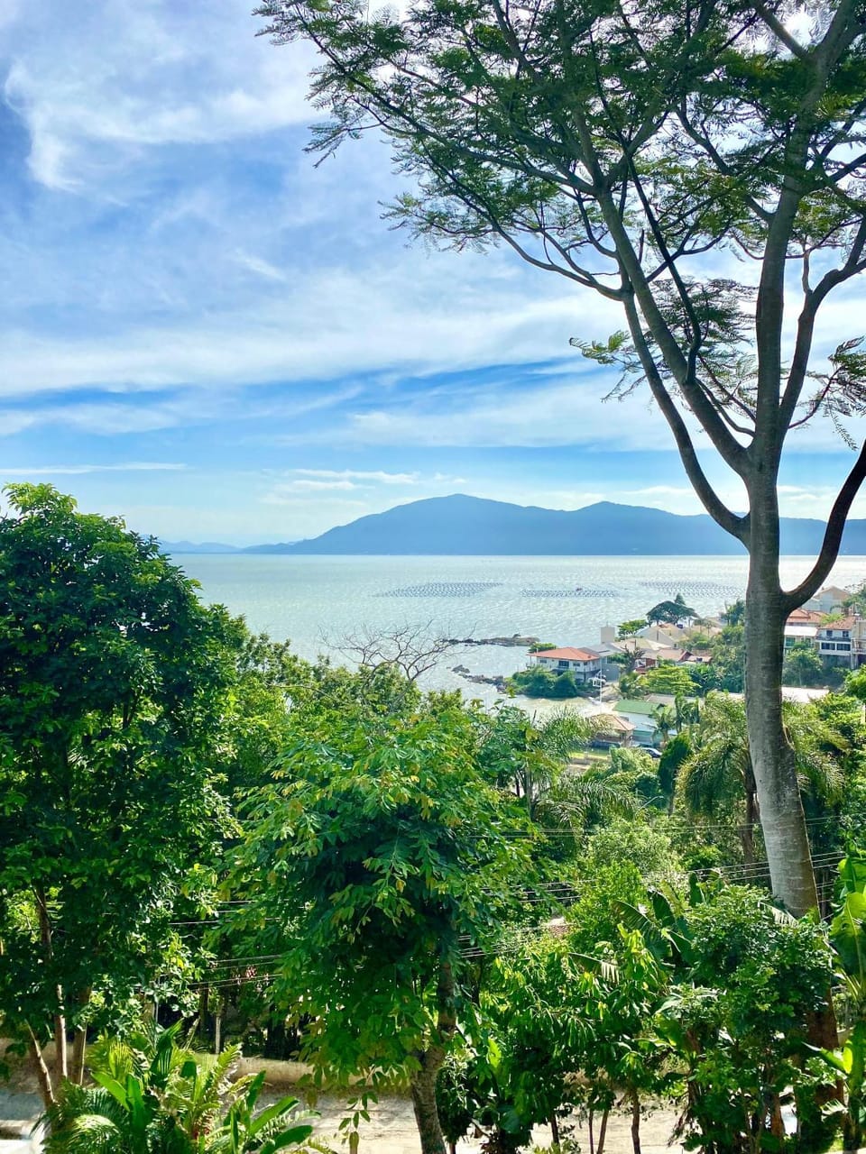 Mountain view, Sea view