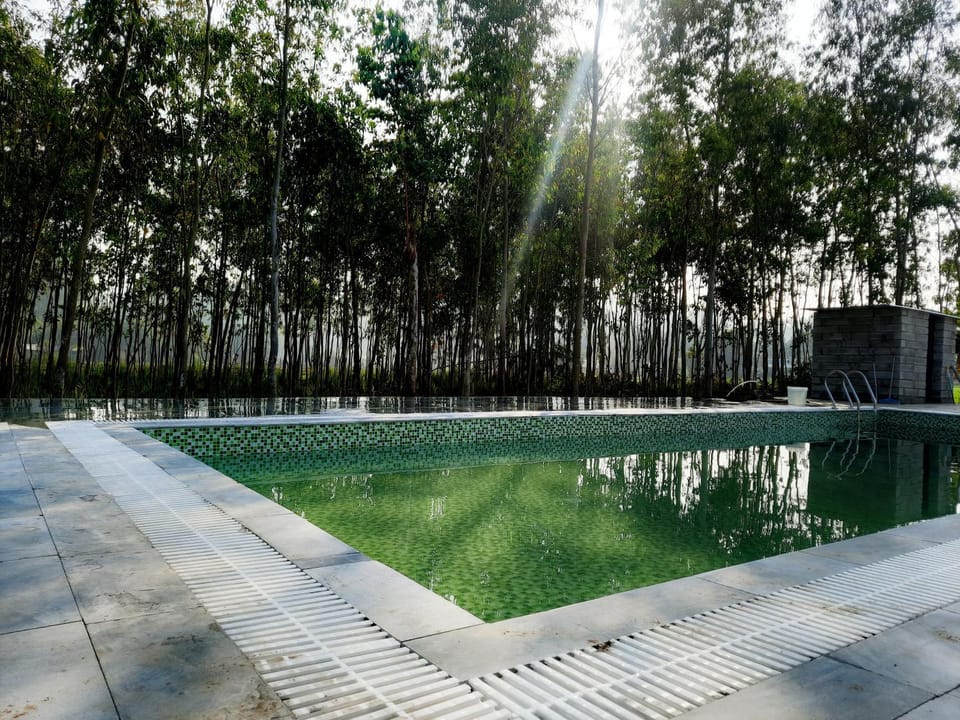 Day, Natural landscape, Pool view, Swimming pool