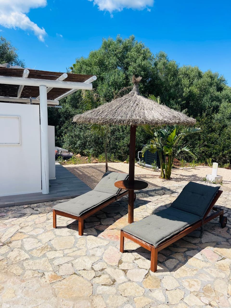 Garden, Garden view, Pool view, Swimming pool, sunbed