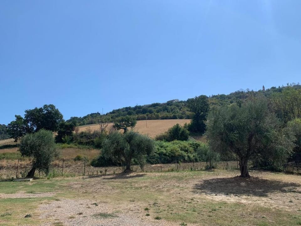 La Perpetua Apartment in Marche
