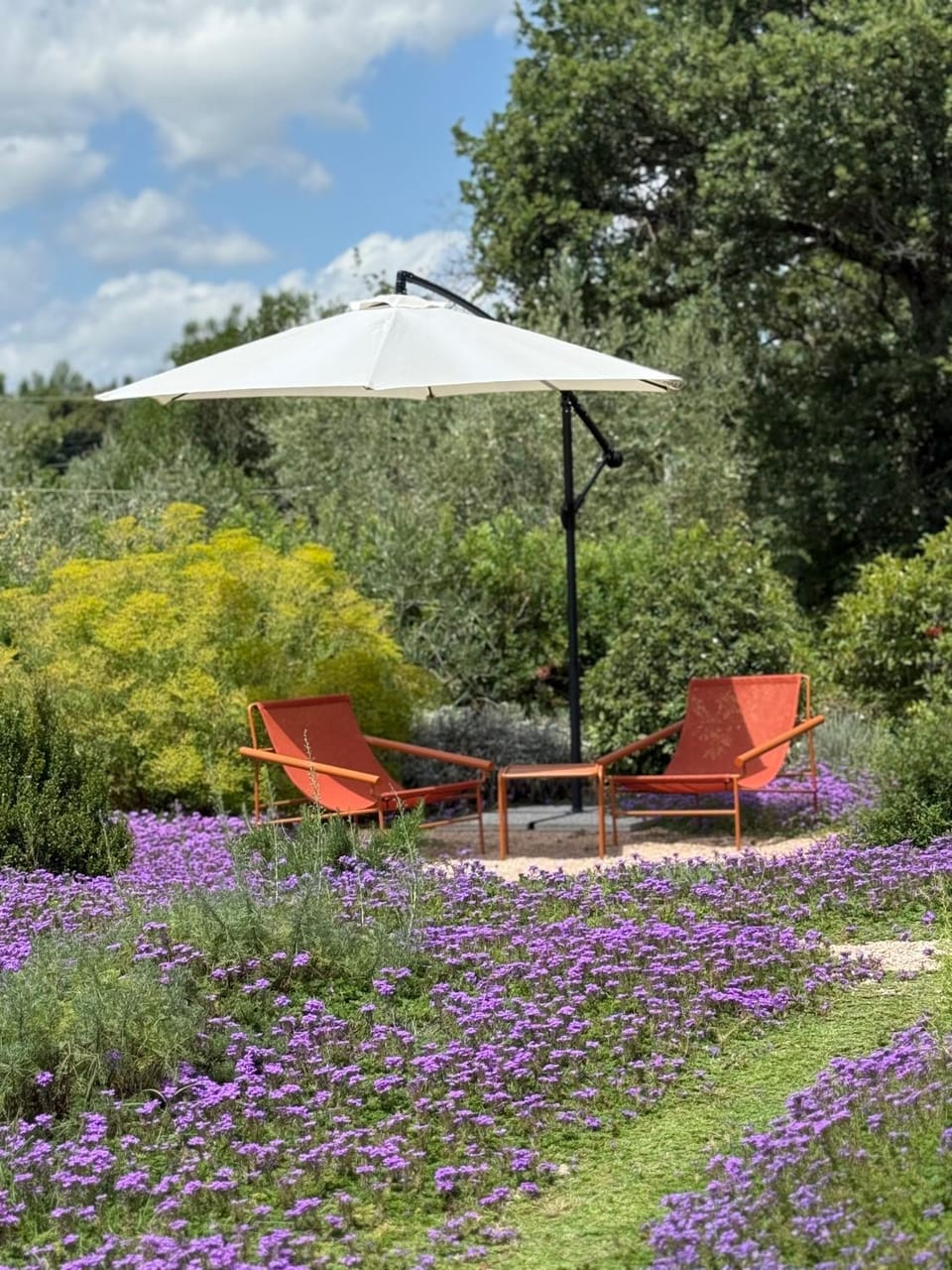 Spring, Day, Natural landscape, Garden, Garden view, sunbed