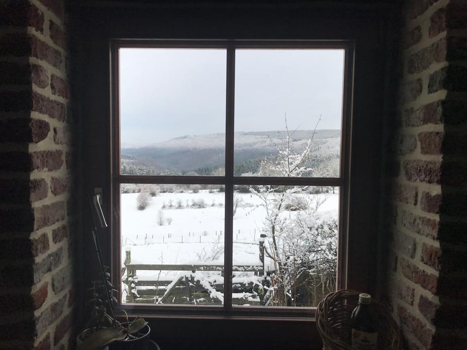 Winter, View (from property/room), kitchen