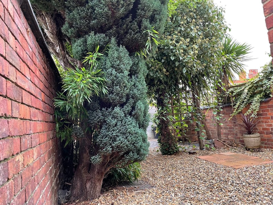 Rooms In A Victorian Comfortable 4-bedroom house in Milton Keynes Rooms Not En-suites Bed and Breakfast in Aylesbury Vale