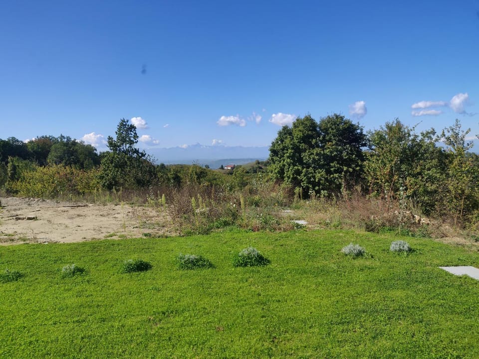 Garden, Garden view