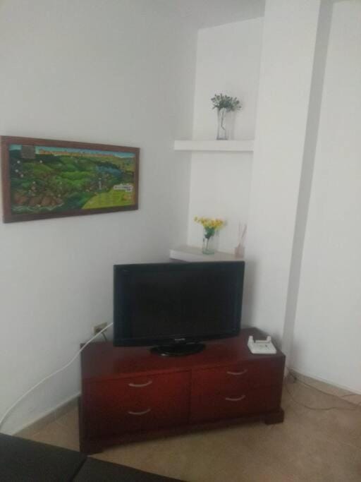 TV and multimedia