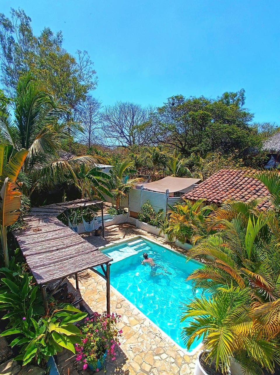 Garden view