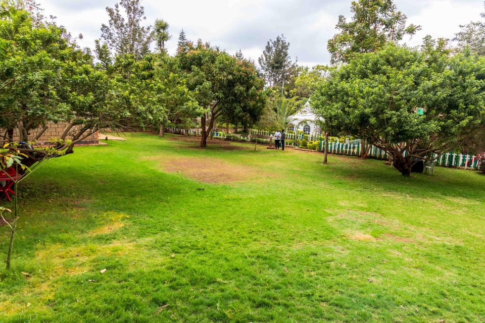 Olive Green Resort Nairobi Resort in Nairobi