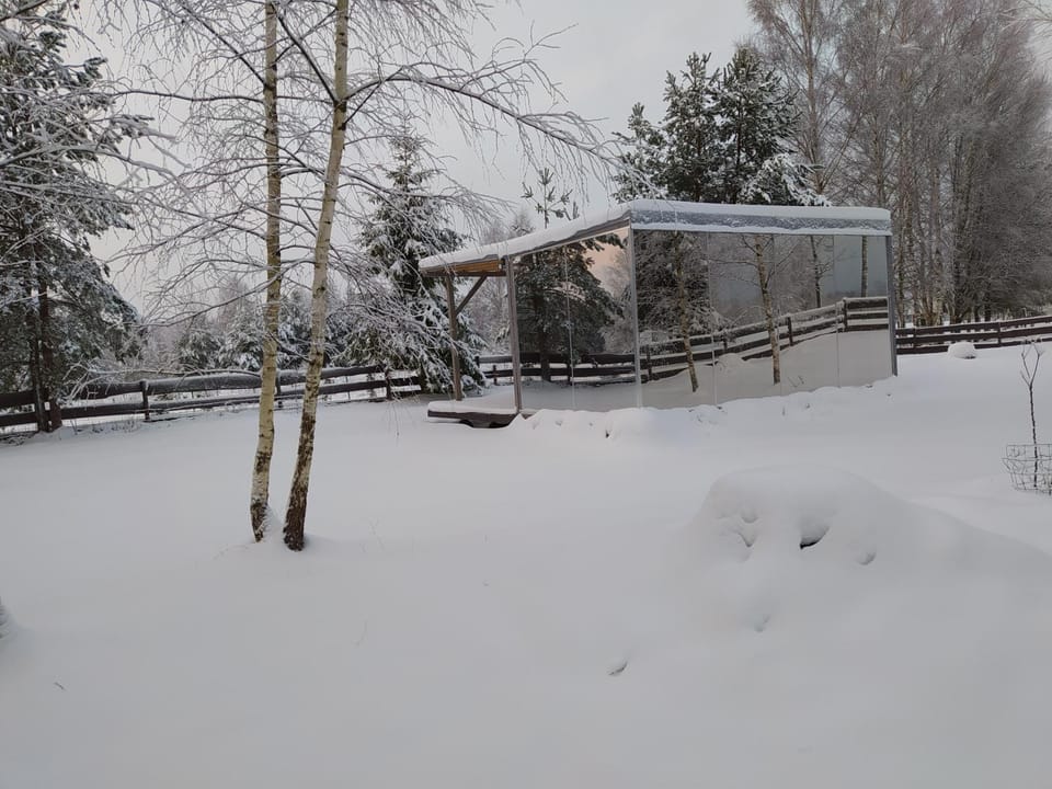Mirror house House in Latvia